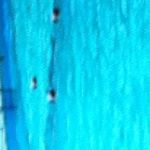 Profile Picture of Walter Cornelius (@3bos_walter) on Instagram