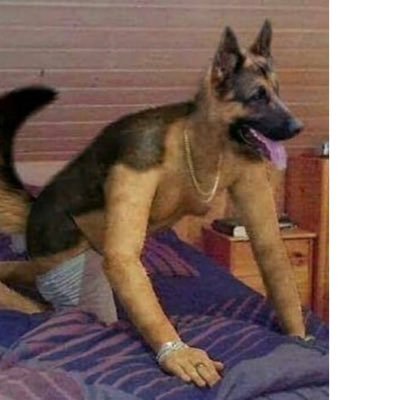 Profile Picture of Nathan Miranda (@NathanM38296699) on Twitter