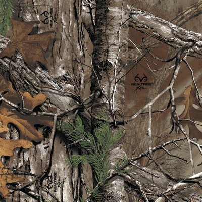 Profile Picture of Matthew Ponce (@RGVToys) on Twitter