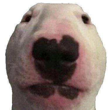 Profile Picture of Macky (@MackyonWinnie) on Twitter