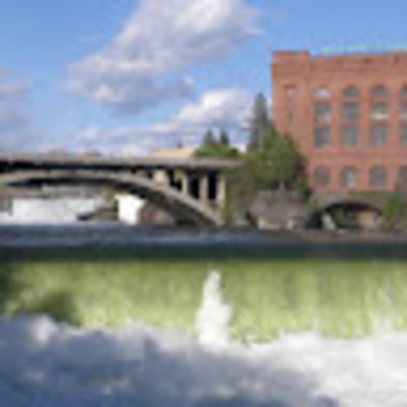 Profile Picture of Tracy Arcondizzi (@tdizzi64) on Poshmark