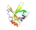 Profile Picture of Apolipoprotein Don Wikipedia