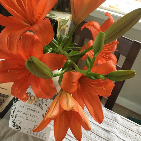 Profile Picture of Ieva Bolsteins (@ievabolsteins) on Poshmark