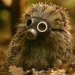 Profile Picture of Richard Koehn (@einstwiegoethe) on Twitter