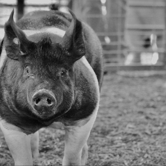 Profile Picture of Riley Spurgeon (@riley_spurgeon) on Poshmark