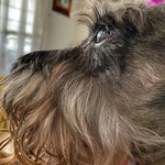 Profile Picture of David Andrade (@andrade.david043) on Flickr