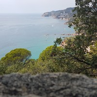 Profile Picture of Bo Webb (@bo-webb-2) on Quora