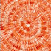 Kim Bradberry - Pinterest Profile Picture of Kim Bradberry (@kimbily) on Pinterest