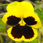 Profile Picture of Barry Sullivan (@SpartanBaz) on Flickr