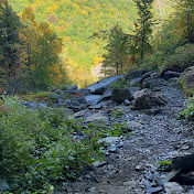 Profile Picture of Dylan Whitfield (@dylanwhitfield9970) on Youtube