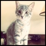 Profile Picture of Monique Lemieux (@paultitou) on Instagram