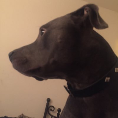 Fred Dudek - Twitter Profile Picture of Fred Dudek (@Joefreddy97Fred) on Twitter