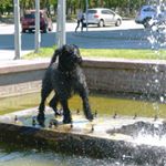 Profile Picture of KEILTY (@gs73keiltymartha) on Instagram