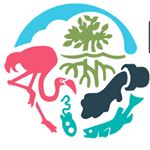 Profile Picture of Cecilia Robles (@ecotoxicologiacostera) on Instagram