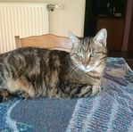 Profile Picture of Danielle Ackermann (@danielle.ackermann.1) on Facebook