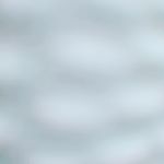 Profile Picture of rudy cervantes (@rudycervantes73) on Instagram