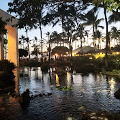 Profile Picture of Rene Hancock (@renehancock7021) on Youtube