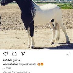 Profile Picture of Tony Martz (@tony.martz2) on Tiktok