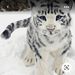 Profile Picture of Madeline Pearce (@pearcemadeline252) on Pinterest