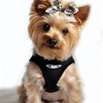 Profile Picture of Lisa Fallin (@mckinleyconway) on Instagram