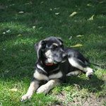 Profile Picture of Richard Guenther (@richardguenther) on Instagram