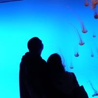 Profile Picture of Keith Jager (@keith-jager-2) on Quora