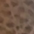 Profile Picture of dylanbaum555 (@dylanbaum555) on Tiktok
