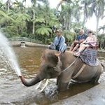 Profile Picture of Colin Bradbury (@colin.bradbury) on Instagram