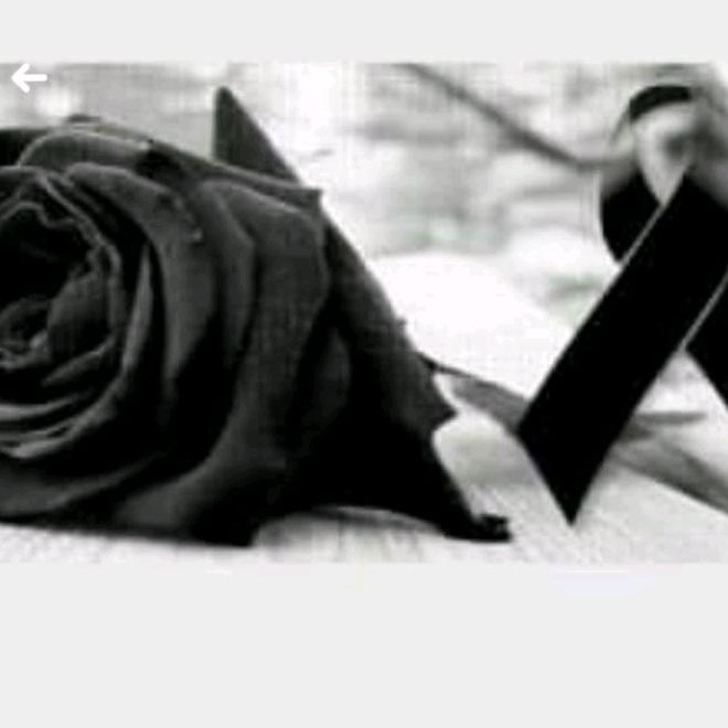 Profile Picture of yolandatejeda78 (@yolandatejeda78) on Tiktok