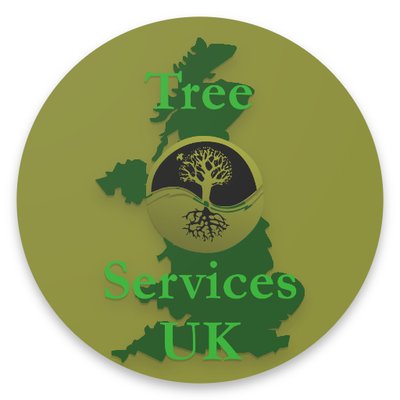 Profile Picture of George Gammon (@TreeServicesUK1) on Twitter