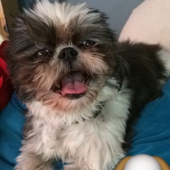 Profile Picture of Alex Wirth (@wirthar) on Poshmark