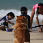 Profile Picture of Dustin Jones (@dcjones87) on Flickr