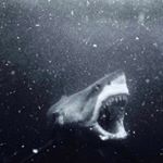 Profile Picture of James Cantrell (@james_cantrell27) on Instagram