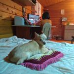 Profile Picture of Вадим Бочкарёв (@bochkarev_kenny) on Instagram