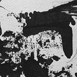 Profile Picture of 조이 (@joytattoo_) on Instagram