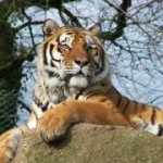 Profile Picture of Lisa Rowe (@lisarowe23) on Instagram