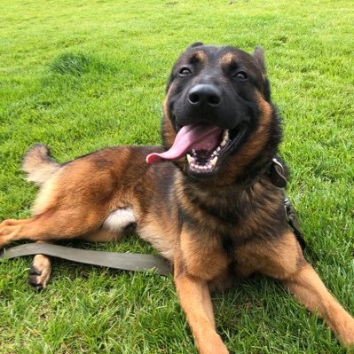 Profile Picture of PortK911 (@lloyd_suh) on Twitter