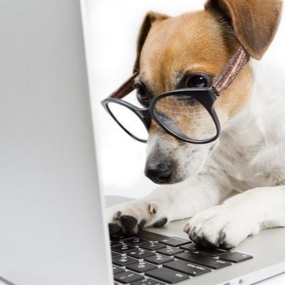 Profile Picture of Bernadette Scarnati (@berniesposh) on Poshmark