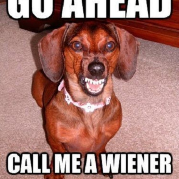 Profile Picture of David Goldbach (@dgild) on Poshmark