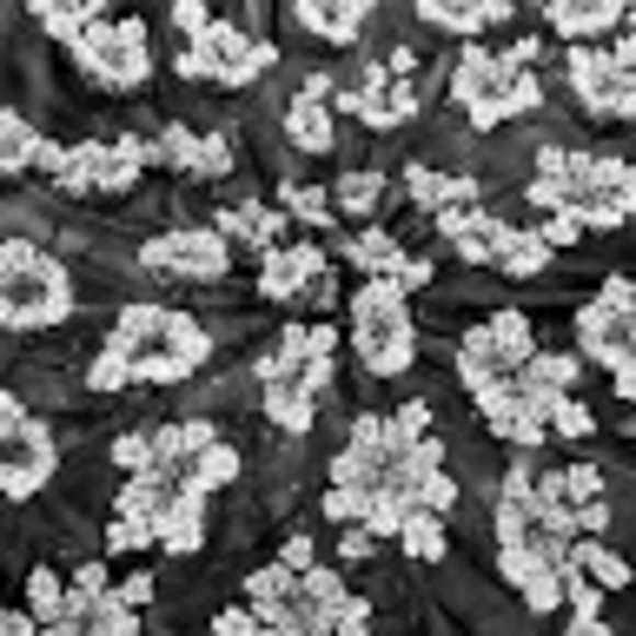 Profile Picture of Lori Marr (@lmarr0109) on Poshmark