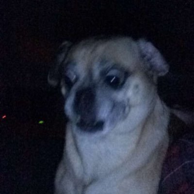 Molly Renee - Twitter Profile Picture of Molly Renee (@molly__monaco) on Twitter