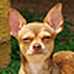 Profile Picture of Carlos Massieu (@almass1981) on Flickr