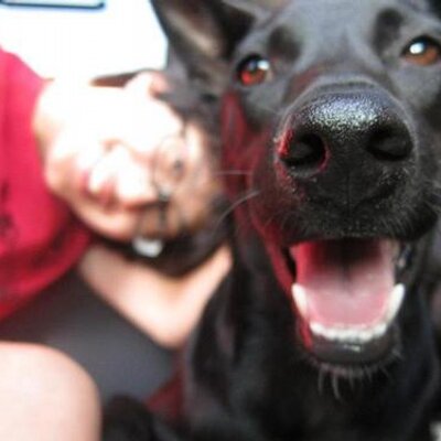 Profile Picture of Shanice Yang (@@YangYiHsuan) on Twitter