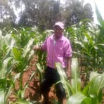 Profile Picture of David Karimi (@david.karimi.1272) on Facebook