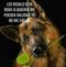 Profile Picture of Sandra Motes (@Sandra-Motes) on Facebook