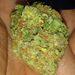 Profile Picture of Anthony Seth (@anthonyseth562) on Pinterest
