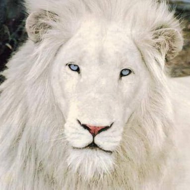 Profile Picture of Ron Glaze (@ronglaze1) on Twitter