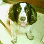 Profile Picture of Jeremy David Rollinson (@jeremyrollinson) on Instagram