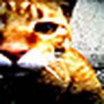 Profile Picture of Daniel-amry1010 (@daniel-amry1010) on Flickr