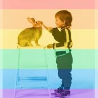 Profile Picture of Matt Shingledecker (@mattshingledeck) on Pinterest